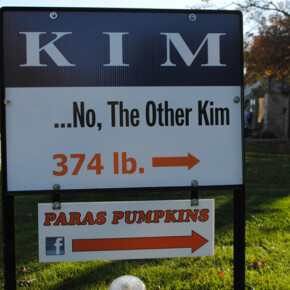 2014 The Other Kim