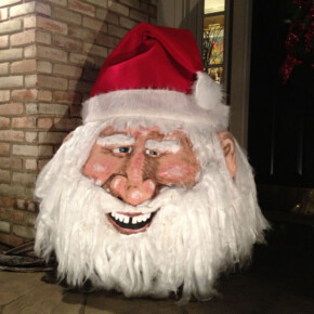2012 Holiday Prince HarryKin 334 lbs.