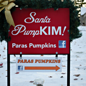 2014 Santa PumpKim