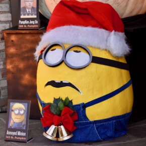 2017 'Despicable HE' Annoyed Minion 143 lbs.